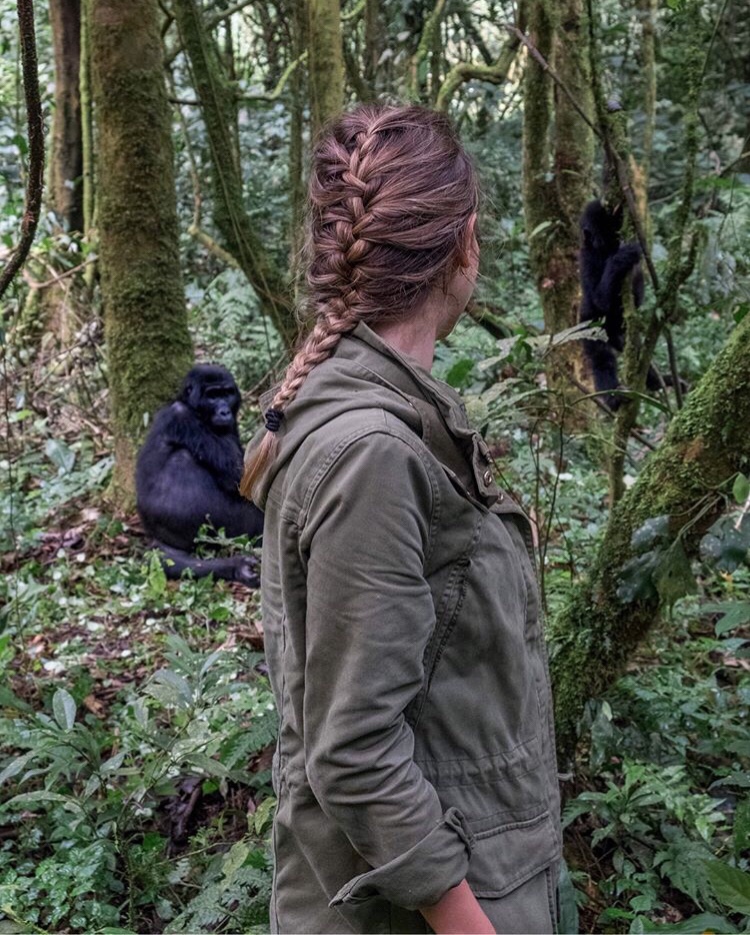 Trekking Mountain gorillas in Uganda