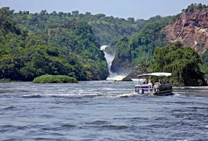 Boat Cruise at Murchison Falls to the Bottom