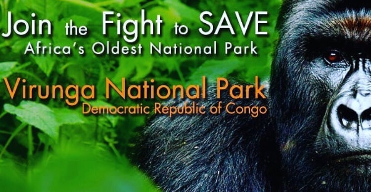 Comparison of Gorilla Trekking in Uganda, Rwanda and Congo