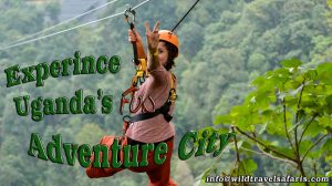 1 day zipline and griffin falls mabira forest tour