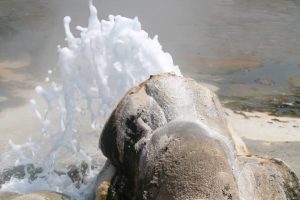 National Parks Destinations Sempaya Hot Springs Semuliki National Park Basin.