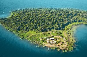 Ngamba Island Chimpanzee Sanctuary