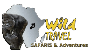 One Best Leading Tour Operator Companies in Uganda | Wild Travel Safaris Company Profile