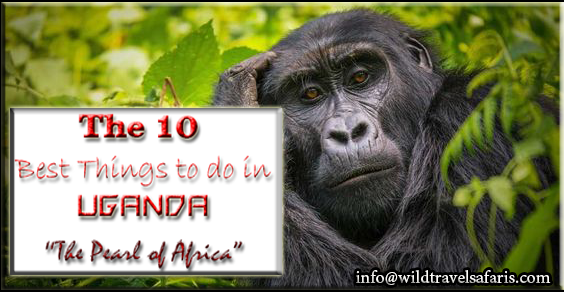 The 10 best Things to do in Uganda "The pearl of Africa"