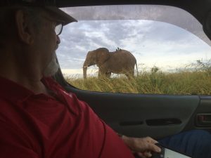 10 Days Uganda Lifetime Experience Holidays Safari