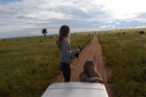 Extensive Savanna Grassland Views