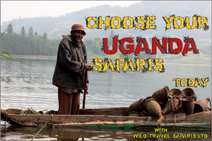 Uganda Safari Packages and Tours Complying of Adventure Trips