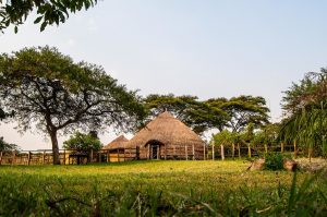 Nshenyi Cultural Village