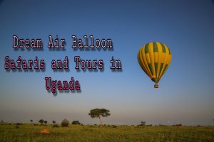 Big Five Safaris und Touren in Uganda _World's Big Five Safari Pirschfahrten