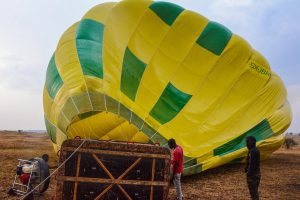 Here’s some facts about the Dream Balloon Game Drive tours in Uganda.