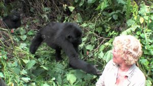 Gorilla Trekking Age Limit in Uganda