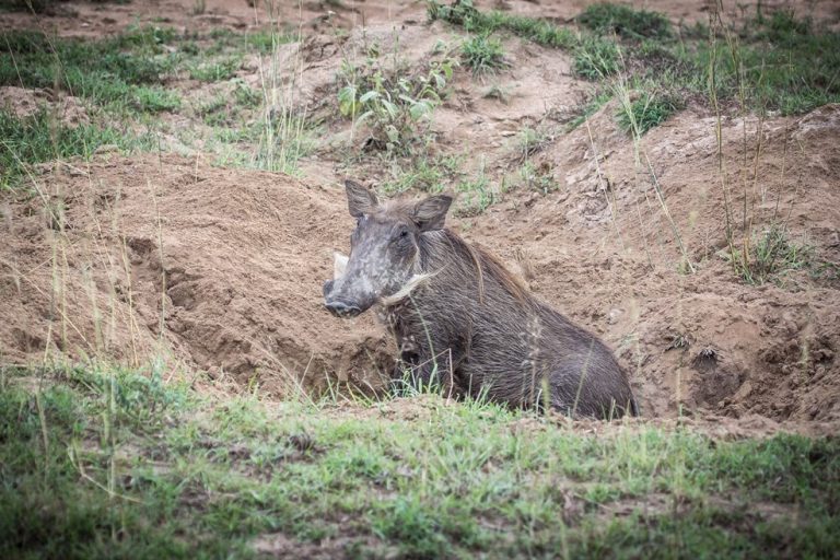 UgandaTrip2017_Fotos_Richard-038