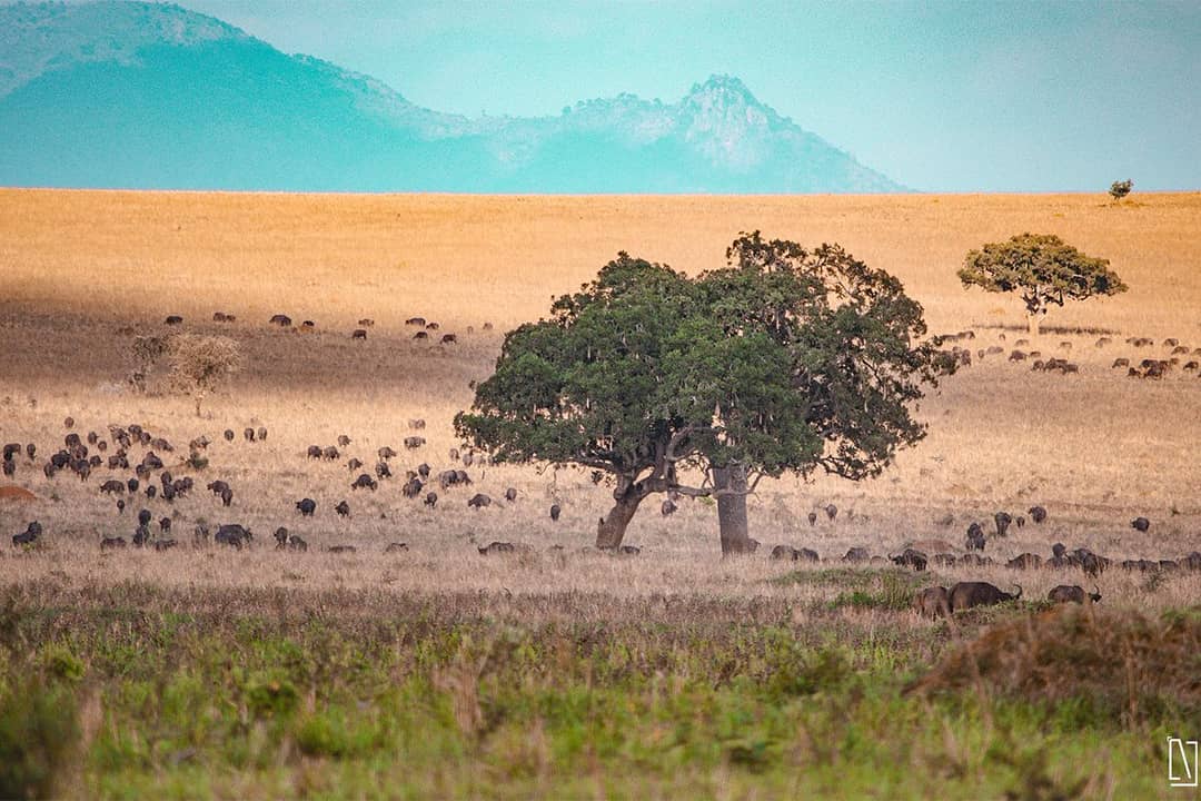 Kidepo Wilderness Views and Lovely Landscape Uganda