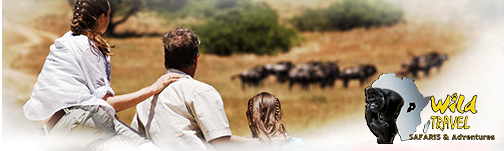 Uganda Safari Packages and Tours Complying of Adventure Trips