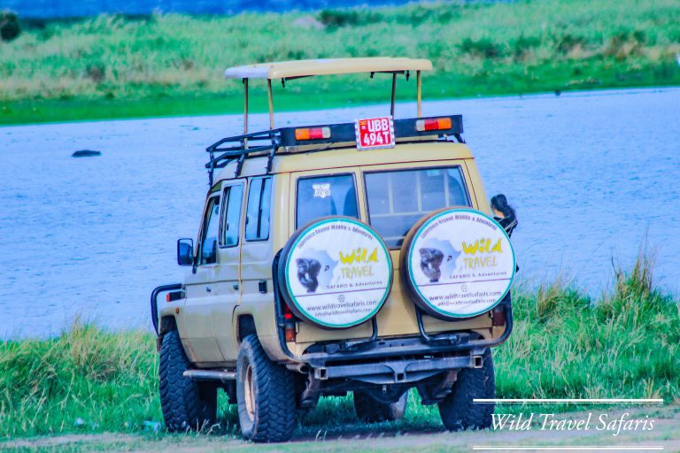 How to Choose the Best Safari Company for your Vacation in Uganda (Africa).