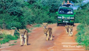 12 Days Adventure Uganda Expedition Safari
