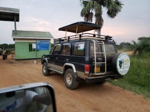 Best Outstanding Wildlife Photography Places in Uganda 10-days-uganda-adventure-safari/