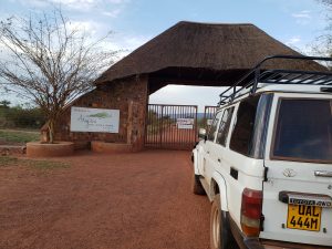 Luxury Safaris and Air Balloon Tours in Uganda