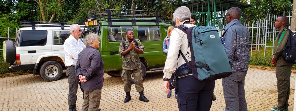 Budget Uganda Gorilla Trekking Tours and Rwanda Gorilla Safaris Packages