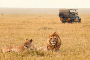 6 Days Wildlife Tanzania Safari