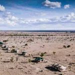 Start Planning Your Serengeti Adventure with a Knowledge of the Big Five