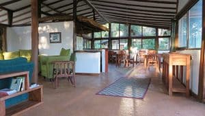 Nkima Forest Lodge - Mabamba Uganda.