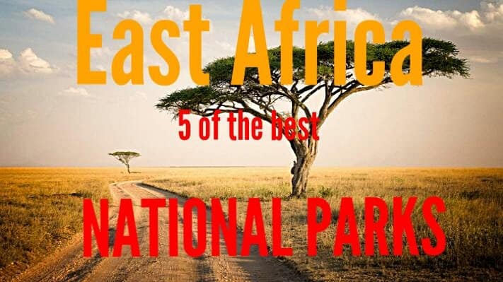 East Africa 5 of the Best National Parks