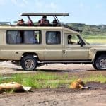 Safari Tours in 4x4 Safari Jeep Landcruiser