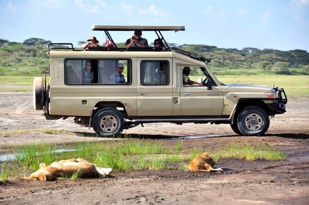 Safari Tours in 4x4 Safari Jeep Landcruiser