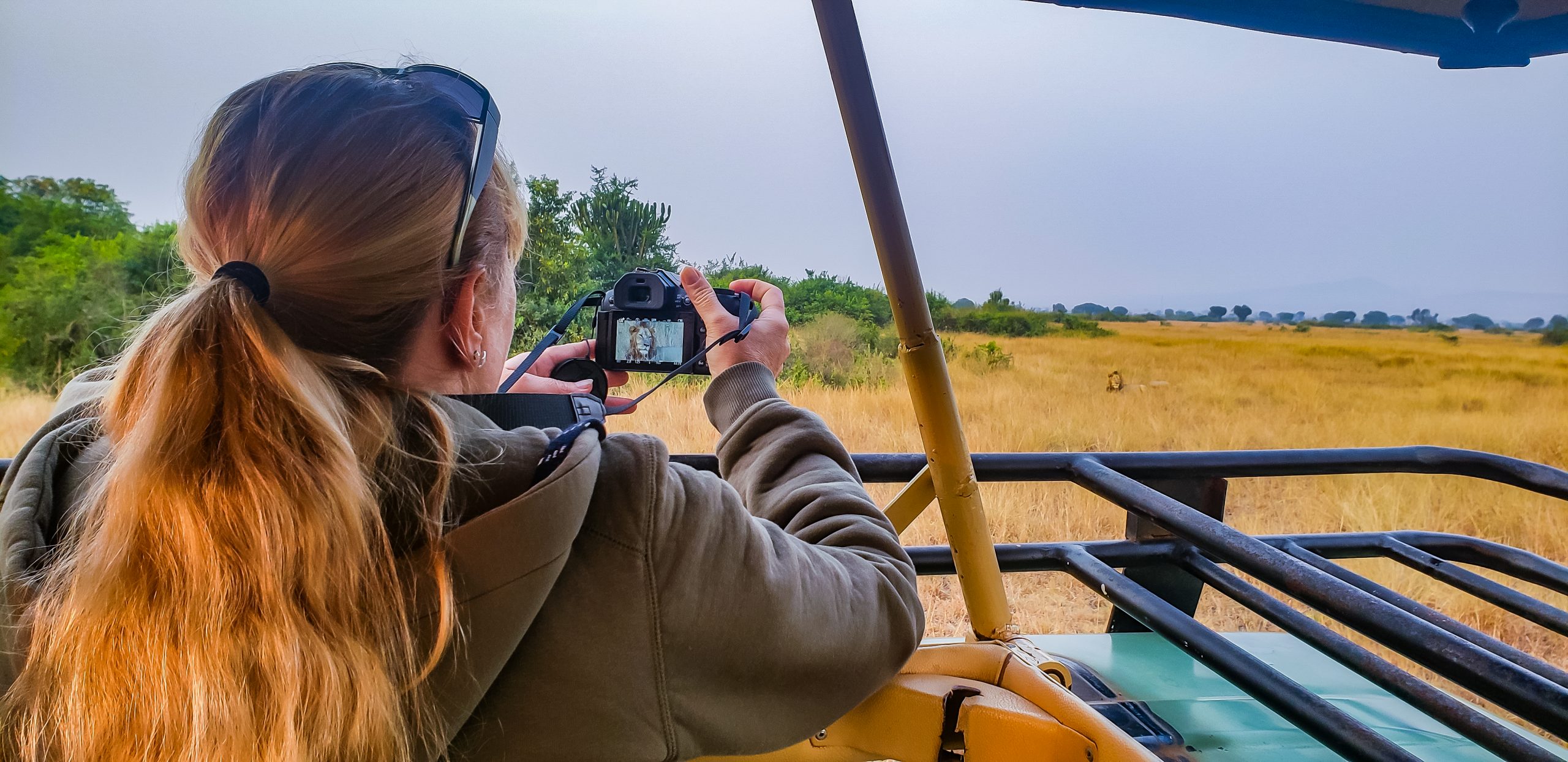 DO LIONS EAT LEOPARDS, CHEETAHS AND HYENAS? – Wild Travel Safaris