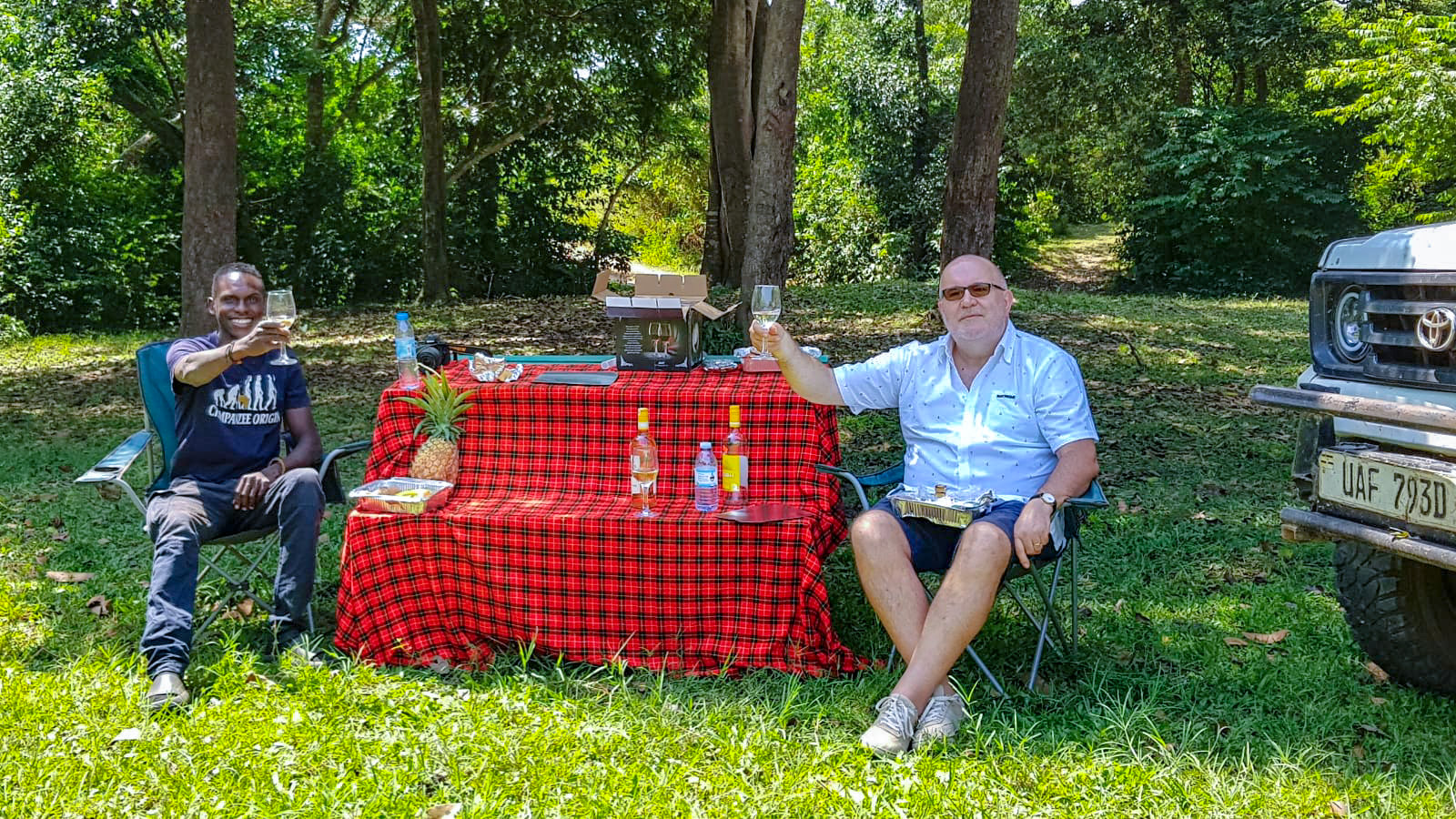 DO LIONS EAT LEOPARDS, CHEETAHS AND HYENAS? – Wild Travel Safaris