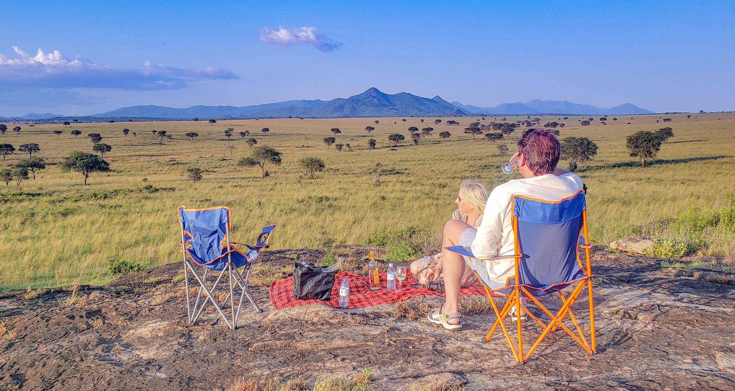 DO LIONS EAT LEOPARDS, CHEETAHS AND HYENAS? – Wild Travel Safaris