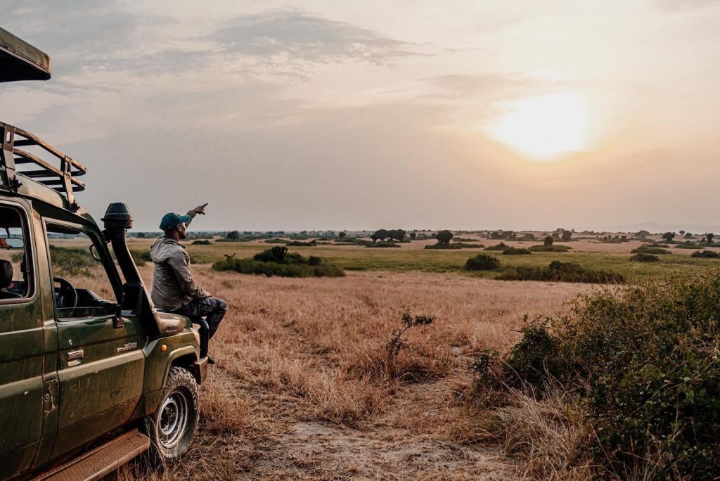 Stay Safe in the Wild: Top Tips for Exploring Rugged Environments