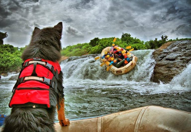 Riding long the source of the nile gardens 1 Day Jinja Tour