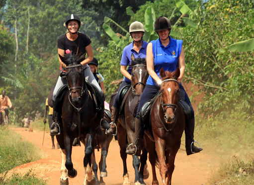 1 Day Horse Ride Safari in Jinja - The Uganda Adventure City.